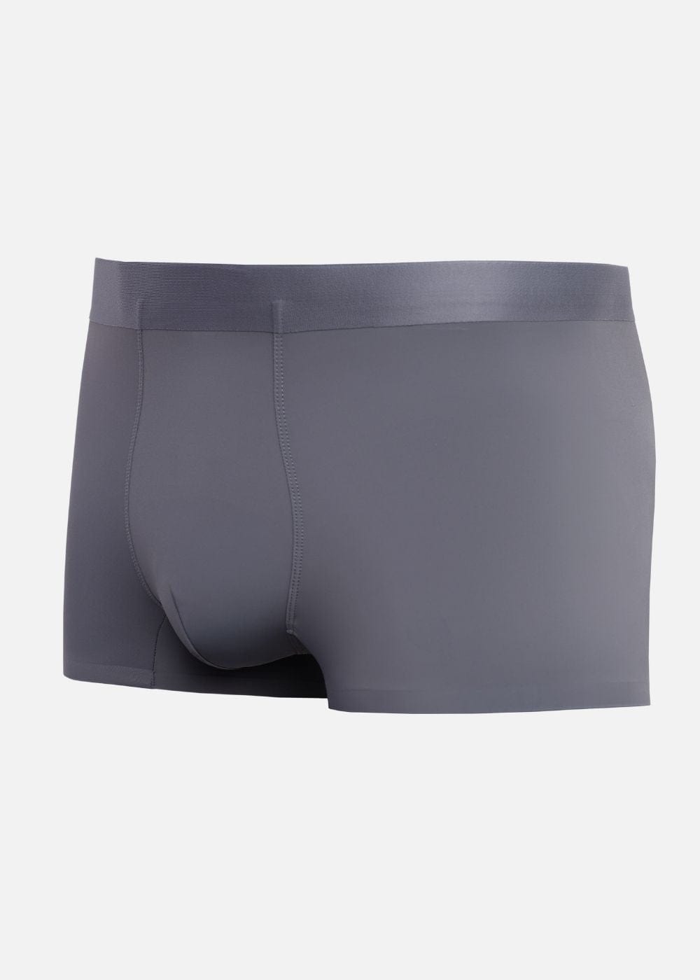 Quần Lót Boxer Ngắn Quần Lót Boxer Ngắn #Y2010 L02 Xám