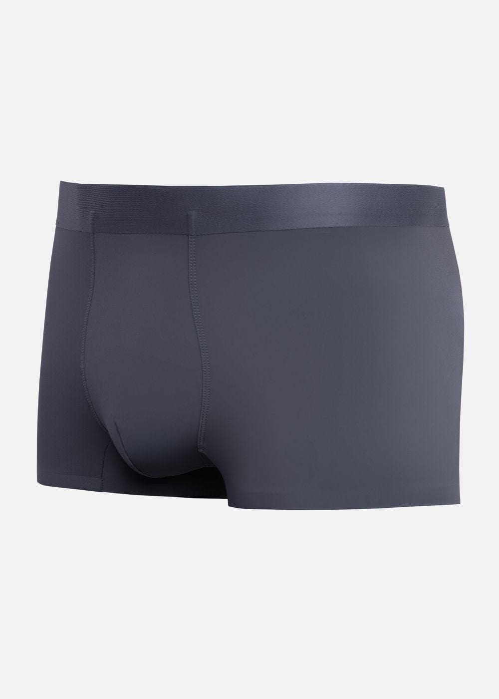 Quần Lót Boxer Ngắn Quần Lót Boxer Ngắn #Y2010 L02 Xanh Xám