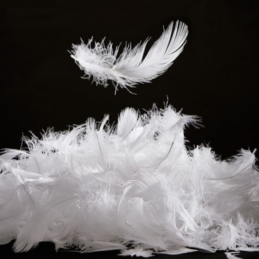 Áo khoác lông vũ tự nhiên vs. Lông vũ nhân tạo.