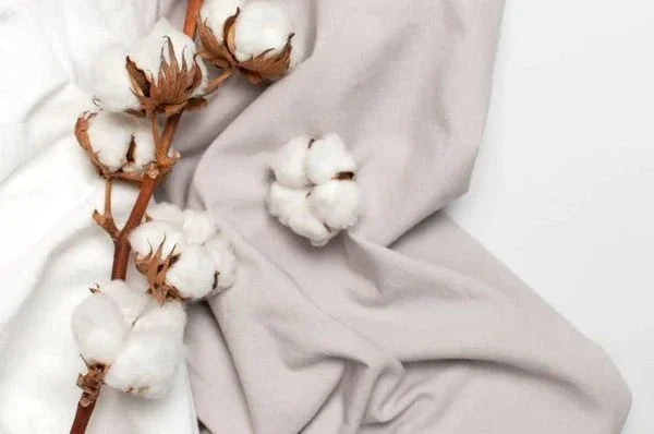 Cotton Organic (hữu cơ) có thực sự tốt hơn Cotton thường?