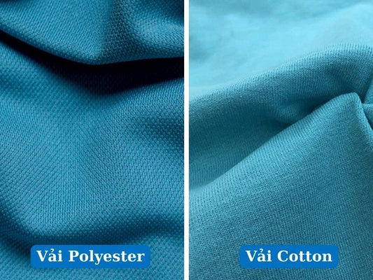 Cotton vs. Poly: Cuộc chiến không hồi kết.