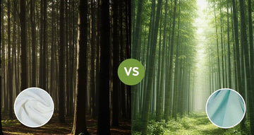 Modal vs. Bamboo: Ai là vua của sự mềm mại tự nhiên?