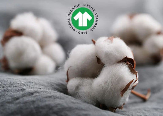 Thế nào là vải "Organic" chuẩn quốc tế (GOTS)?