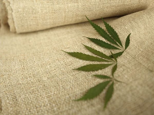 Vải sợi gai dầu (Hemp) – Siêu bền nhưng ít phổ biến.