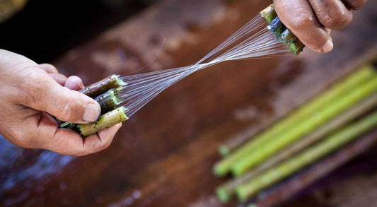 Vải sợi sen - Tinh hoa từ cuống sen, đắt đỏ và kỳ công.