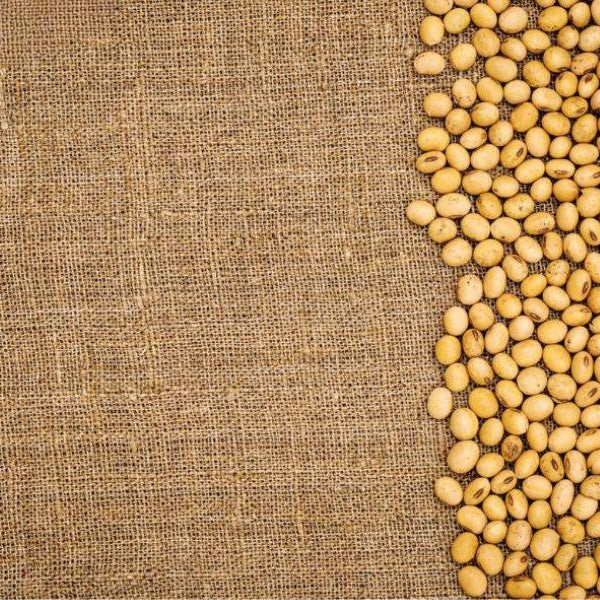 Vải từ đậu nành (Soybean fiber) - "Cashmere thực vật"