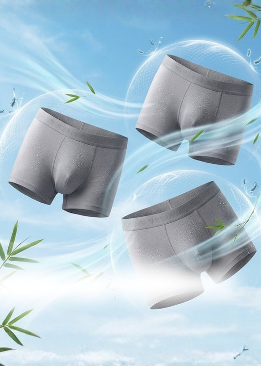 Combo 3 Quần Lót Boxer Ngắn Bamboo StayFresh™ Kháng Khuẩn #Y2010 079 Màu Xám Đậm