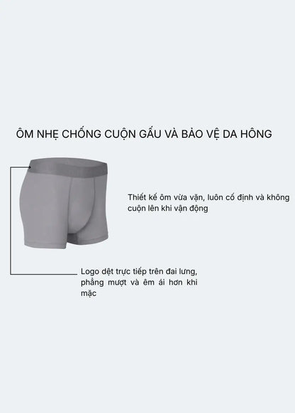 Quần Lót Boxer Ngắn Bamboo StayFresh™ Kháng Khuẩn #Y2010 080 Màu Xám Đậm