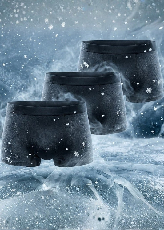 Combo 3 Quần Lót Lụa Băng IceVibes™ Mát Lạnh Lưới Khí Tàng Hình #Y2010 155 Màu Đen