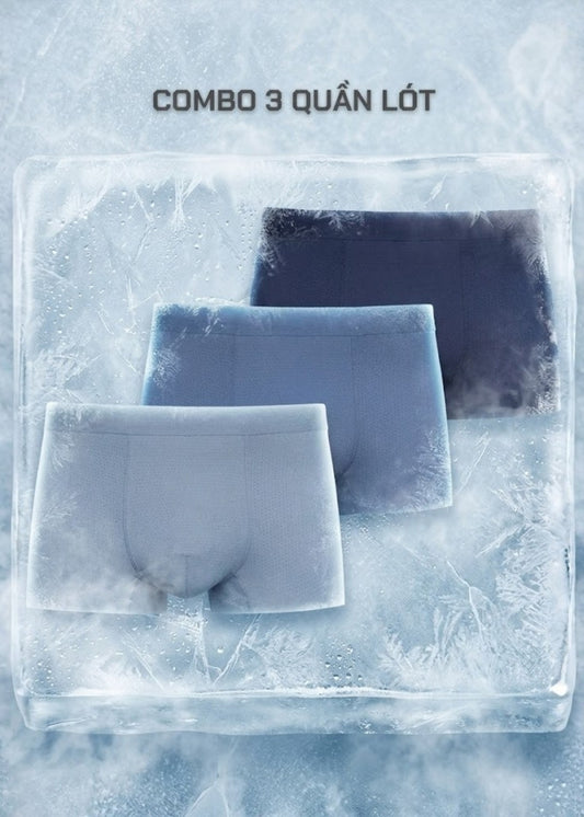 Combo 3 Quần Lót Lụa Băng IceVibes™ Mát Lạnh Lưới Khí Tàng Hình #Y2010 155 Màu Free Color