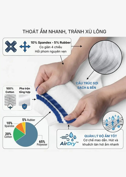 Combo 5 Vớ Thời Trang Cổ Trung Colored Line Ôm Nhẹ Chống Hằn #Y2010 160 Màu Free Color